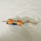 Fish Robot DIY Kit, Educational STEM Toy by Kitsville