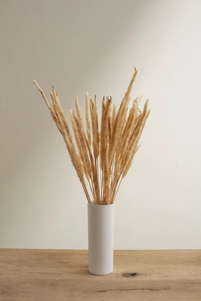 Fluffy Dried Pampas Grass by White Cliff Studio