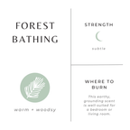 Forest Bathing - Fir + Pine + Patchouli Travel Tin Candles La Vie Bien Forest Bathing - Fir + Pine + Patchouli
