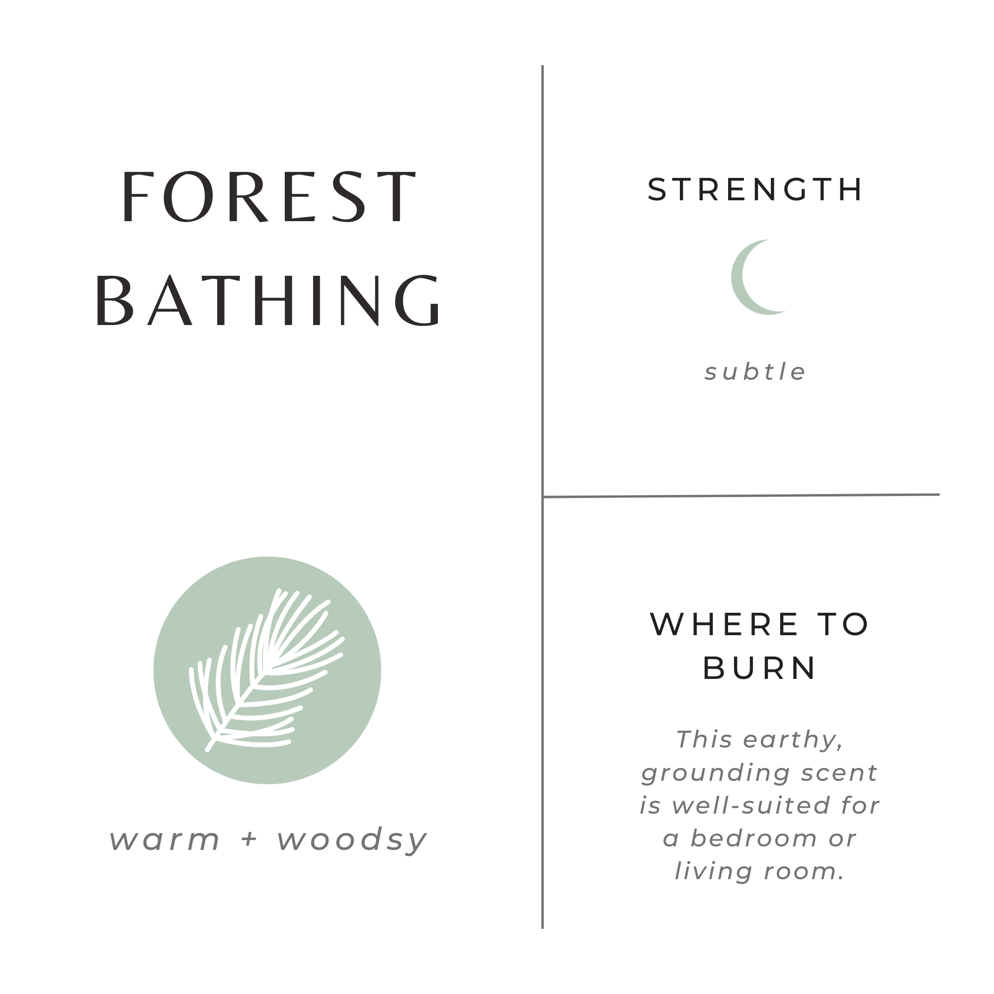 Forest Bathing - Fir + Pine + Patchouli Travel Tin Candles La Vie Bien Forest Bathing - Fir + Pine + Patchouli