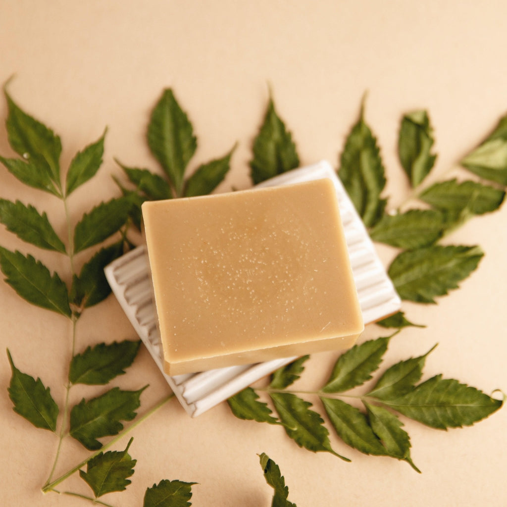 Forest Bathing - Natural Bar Soap Body Care La Vie Bien Forest Bathing - Natural Bar Soap