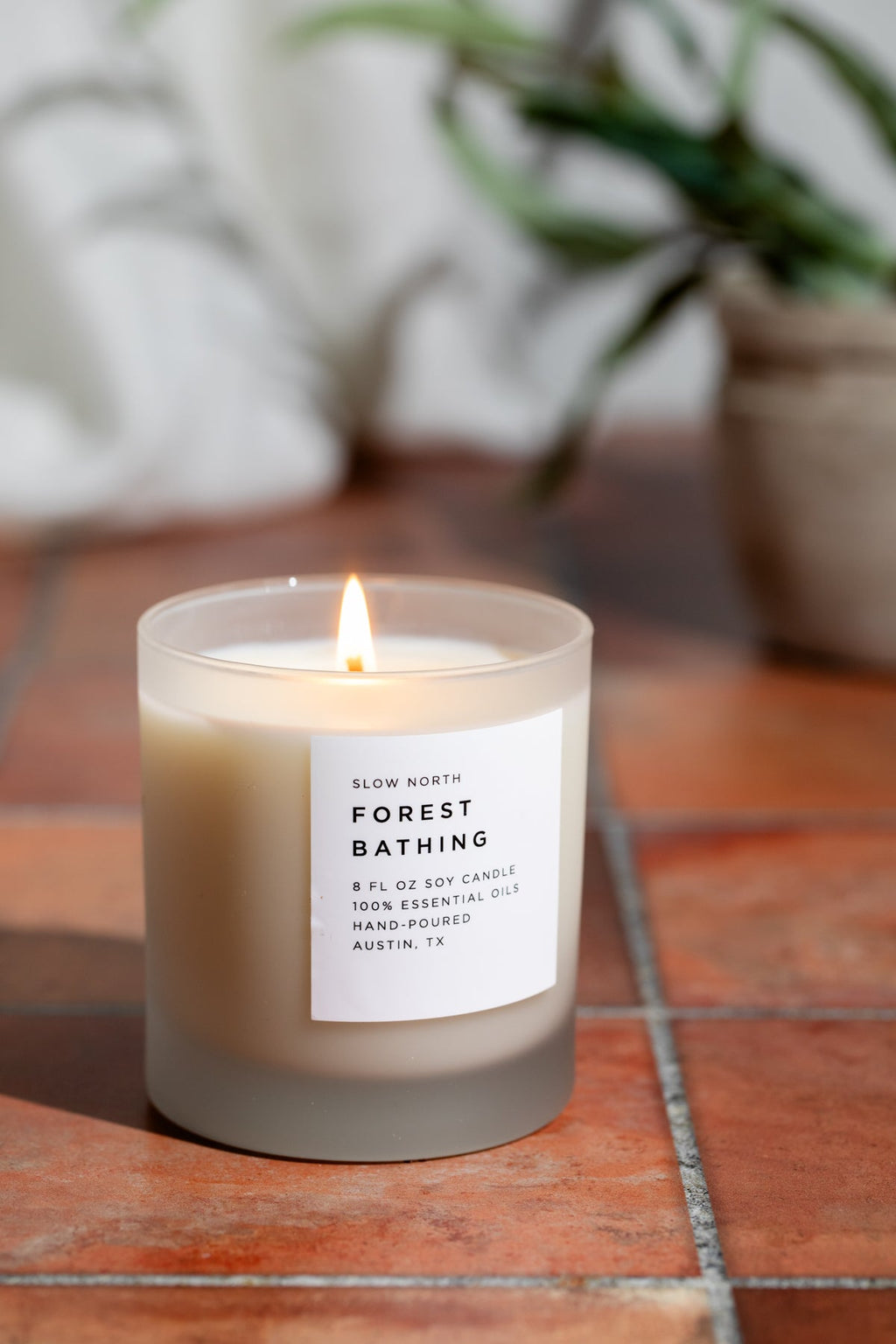 Forest Bathing - Signature Candle (Fir + Pine + Patchouli) Frosted Candles La Vie Bien Forest Bathing - Signature Candle (Fir + Pine + Patchouli)