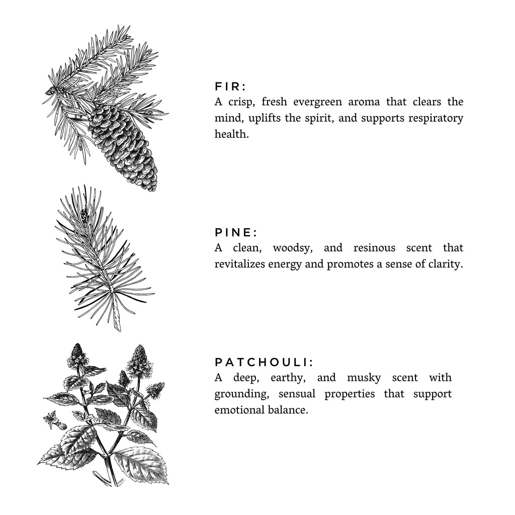 Forest Bathing - Signature Candle (Fir + Pine + Patchouli) Frosted Candles La Vie Bien Forest Bathing - Signature Candle (Fir + Pine + Patchouli)