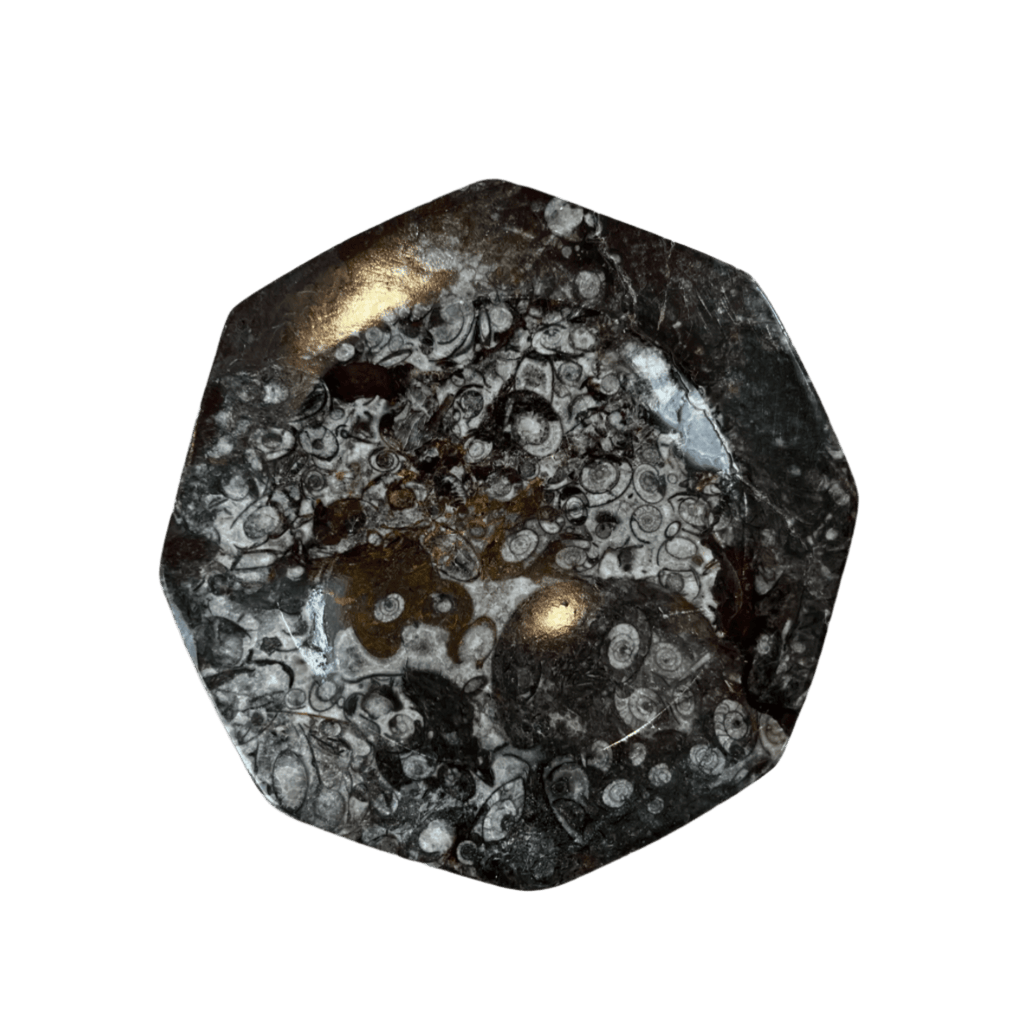 Fossil Stone Dish