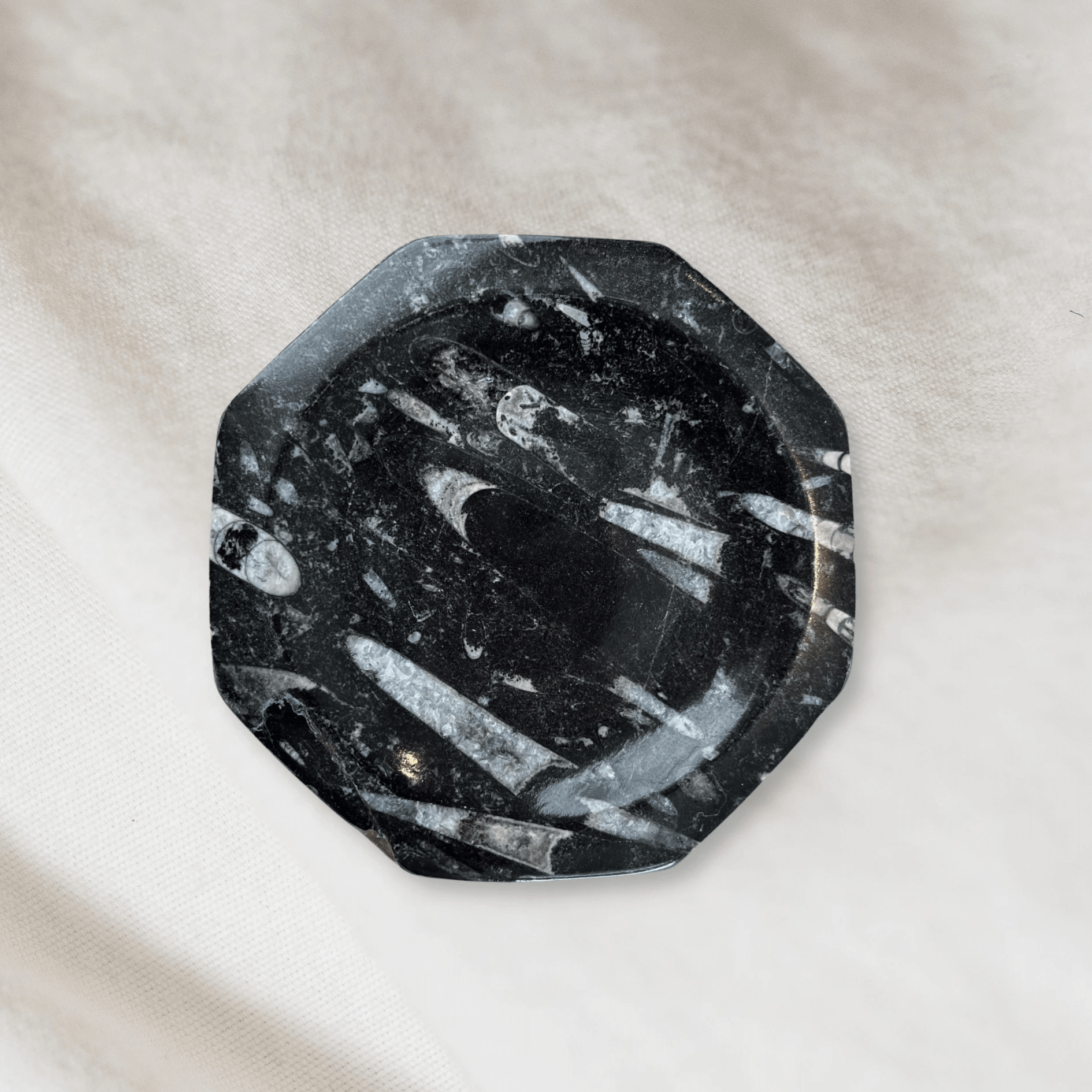 Fossil Stone Dish