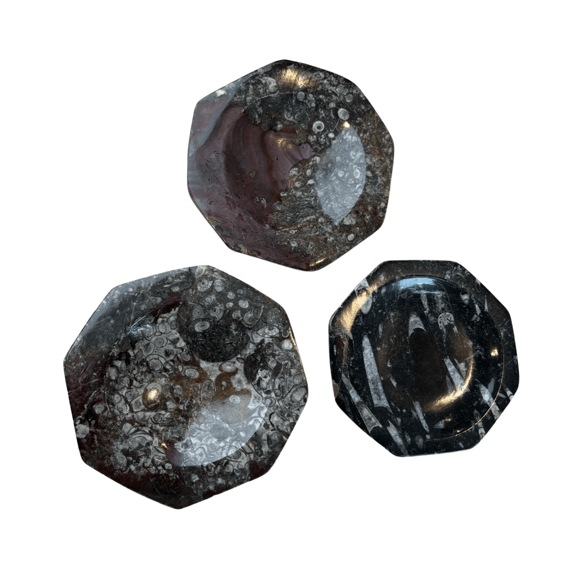 Fossil Stone Dish