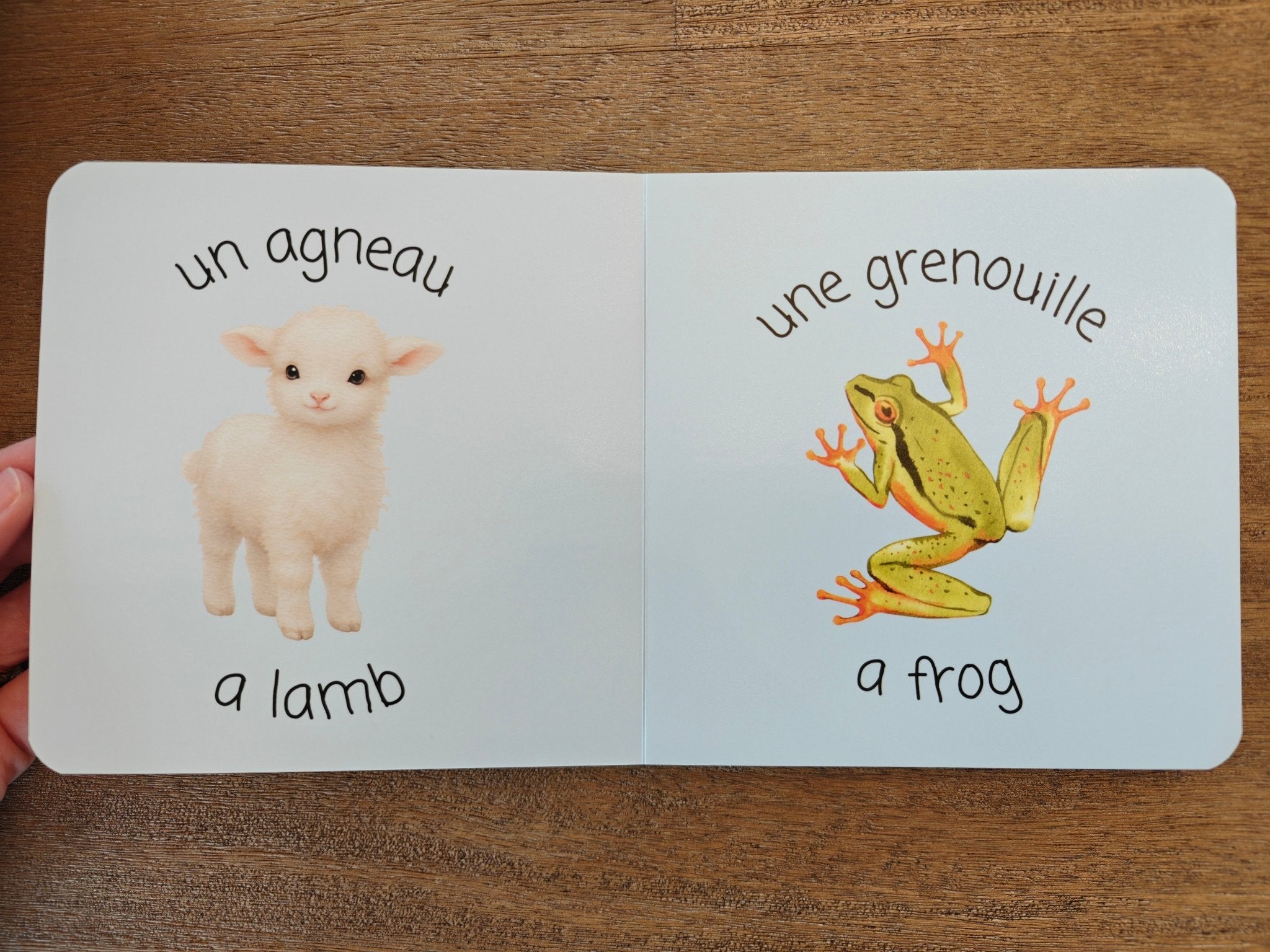 French Baby Boy Gift Box | Bébé Bodysuit + Bilingual Board Book + New Baby Card | C'est un garçon! Bundle Gift Sets La Vie Bien French Baby Boy Gift Box | Bébé Bodysuit + Bilingual Board Book + New Baby Card | C'est un garçon!