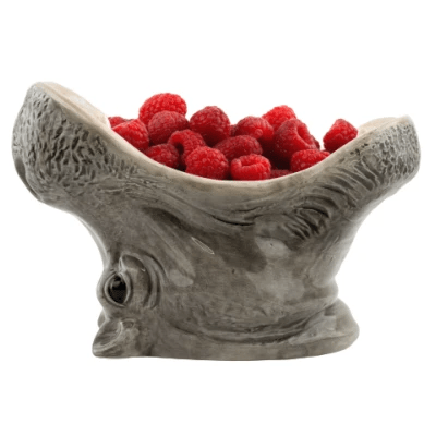 Fruit Bowl "HUNGRY HIPPO" by Fragola