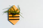 Geometric Air Plant Holder Home Decor La Vie Bien Geometric Air Plant Holder