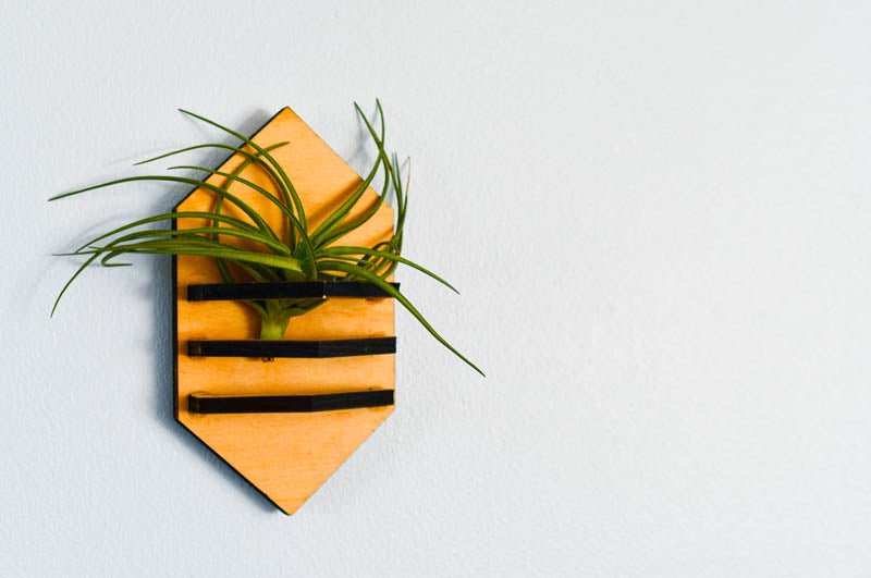 Geometric Air Plant Holder Home Decor La Vie Bien Geometric Air Plant Holder