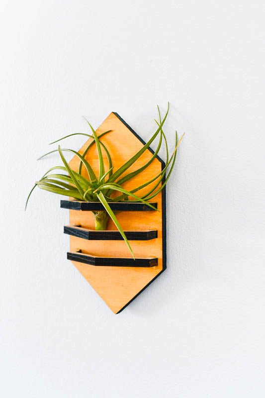 Geometric Air Plant Holder Home Decor La Vie Bien Geometric Air Plant Holder