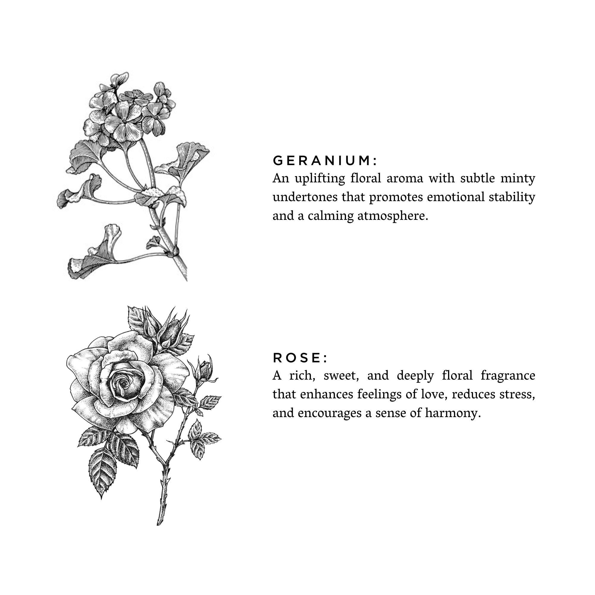 Geranium + Rose Travel Tin Candles La Vie Bien Geranium + Rose