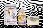 GINGER QUINCE GIFT SET: BATH SALTS, 8 oz LIQUID SOAP & SOAP SLICE by Essential Journeys