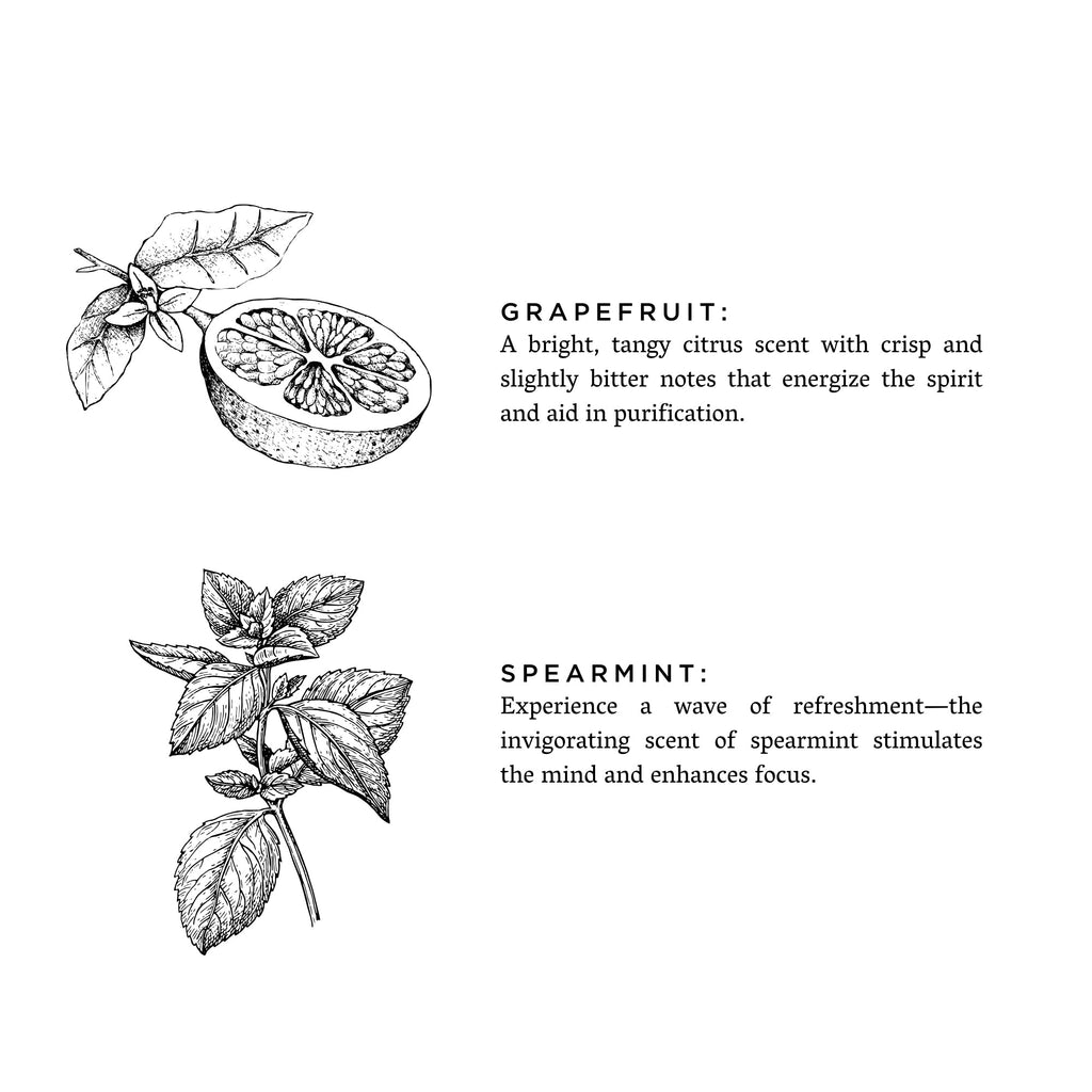 Grapefruit + Spearmint Travel Tin Candles La Vie Bien Grapefruit + Spearmint
