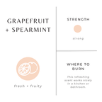 Grapefruit + Spearmint Travel Tin Candles La Vie Bien Grapefruit + Spearmint