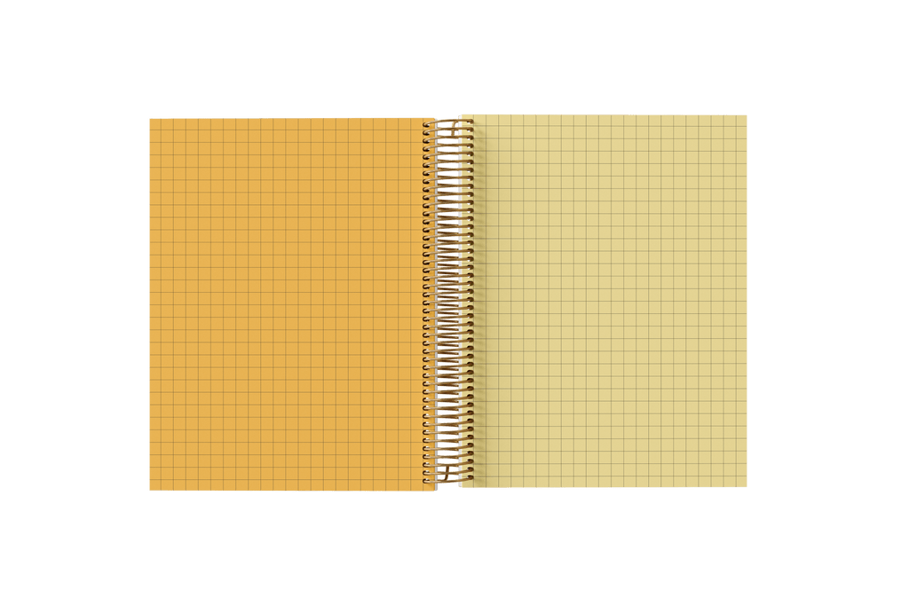 Graph Paper Holographic Notebook by BERTEAU & Co.