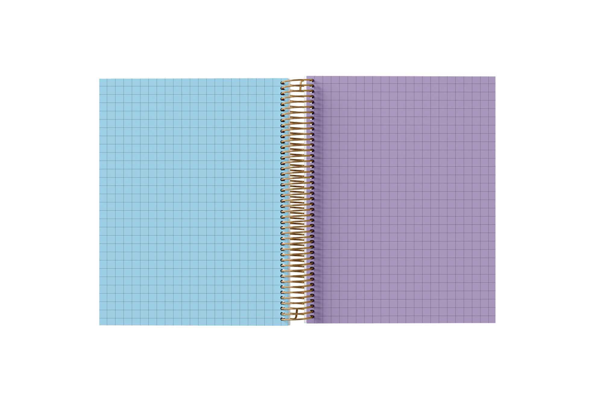 Graph Paper Holographic Notebook by BERTEAU & Co.