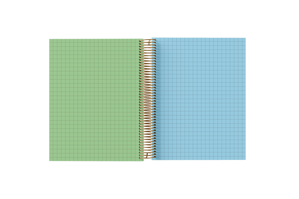 Graph Paper Holographic Notebook by BERTEAU & Co.