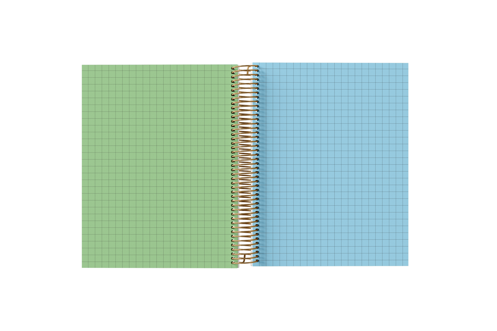 Graph Paper Holographic Notebook by BERTEAU & Co.