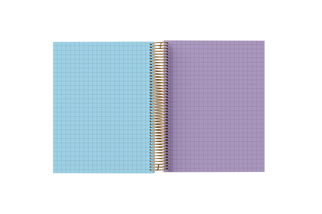 Graph Paper Holographic Notebook by BERTEAU & Co.
