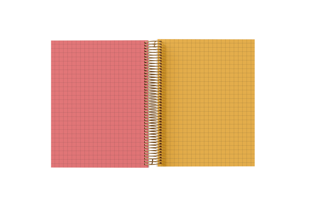 Graph Paper Holographic Notebook by BERTEAU & Co.