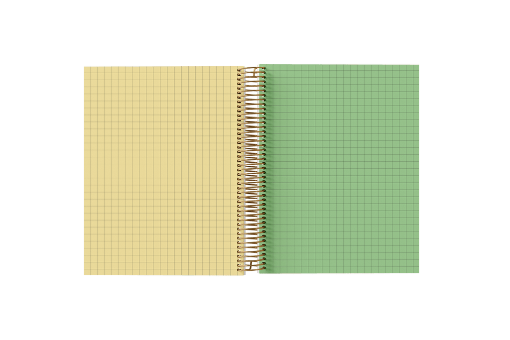 Graph Paper Holographic Notebook by BERTEAU & Co.