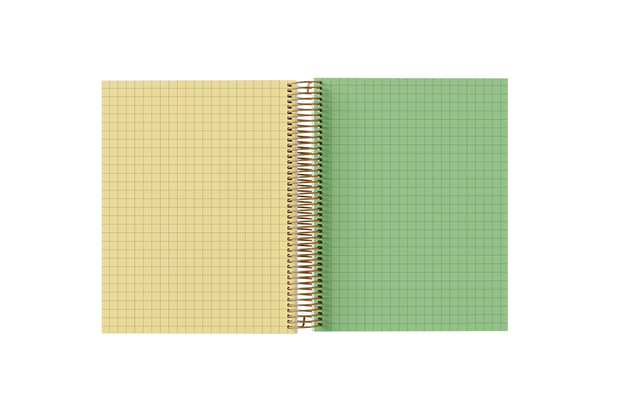 Graph Paper Holographic Notebook by BERTEAU & Co.
