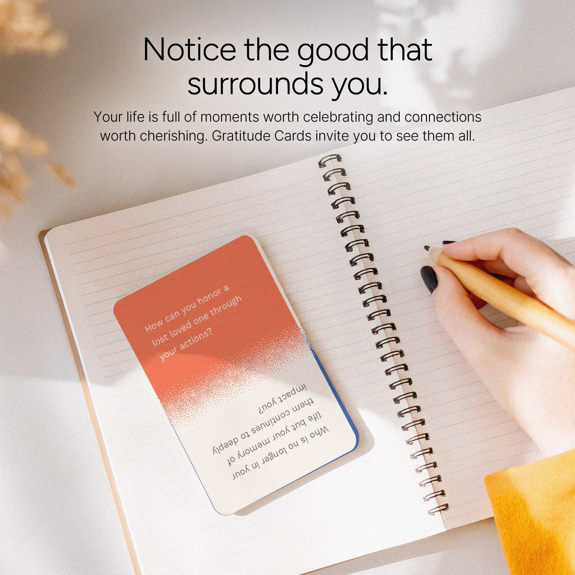 Gratitude Cards by Holstee
