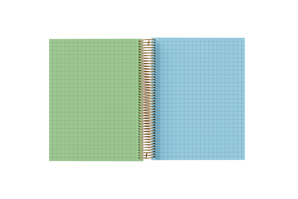 GRAPH Paper Holographic Notebook by BERTEAU & Co.