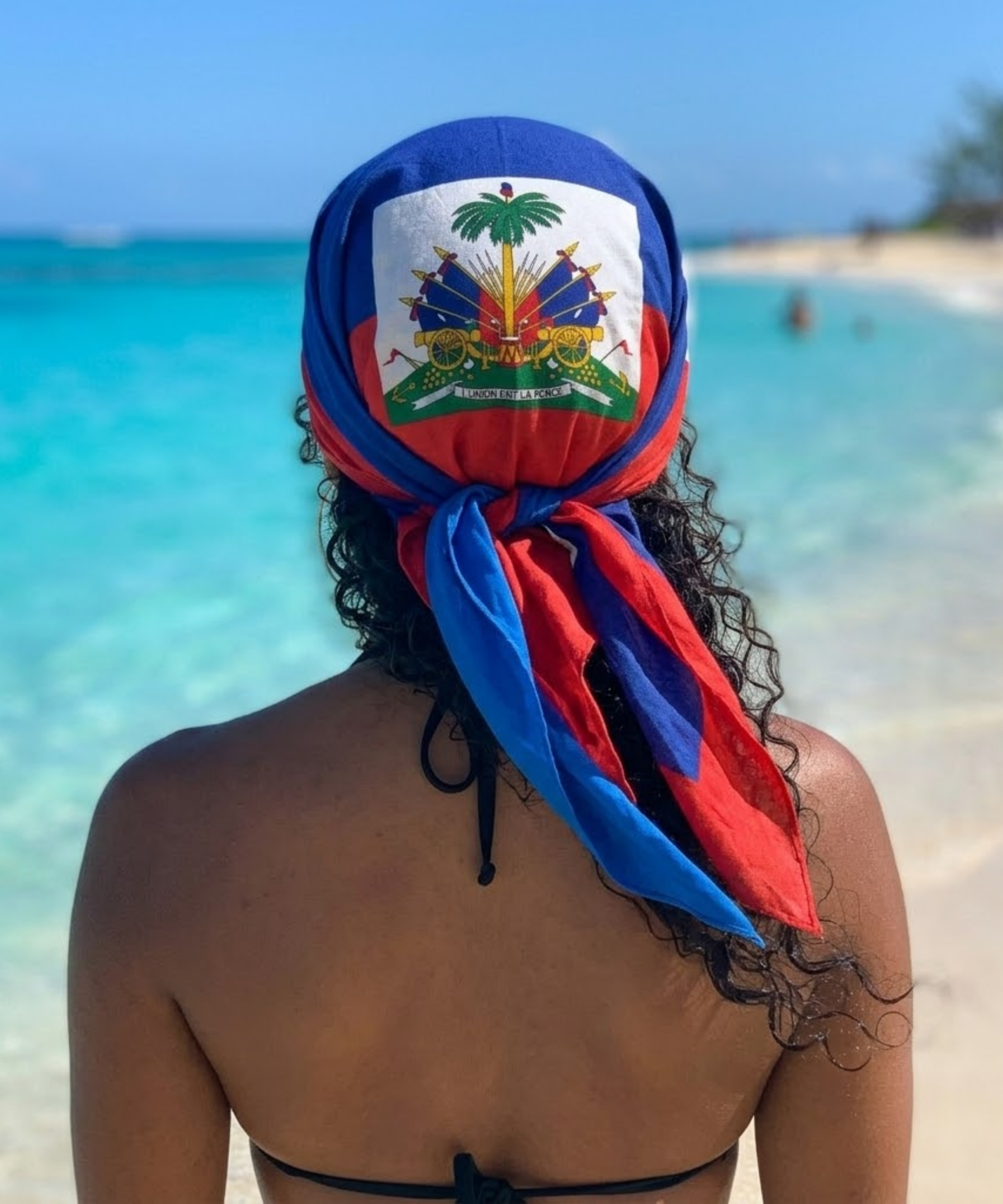Haiti Flag Bandana All-Over Print Bandana La Vie Bien Haiti Flag Bandana