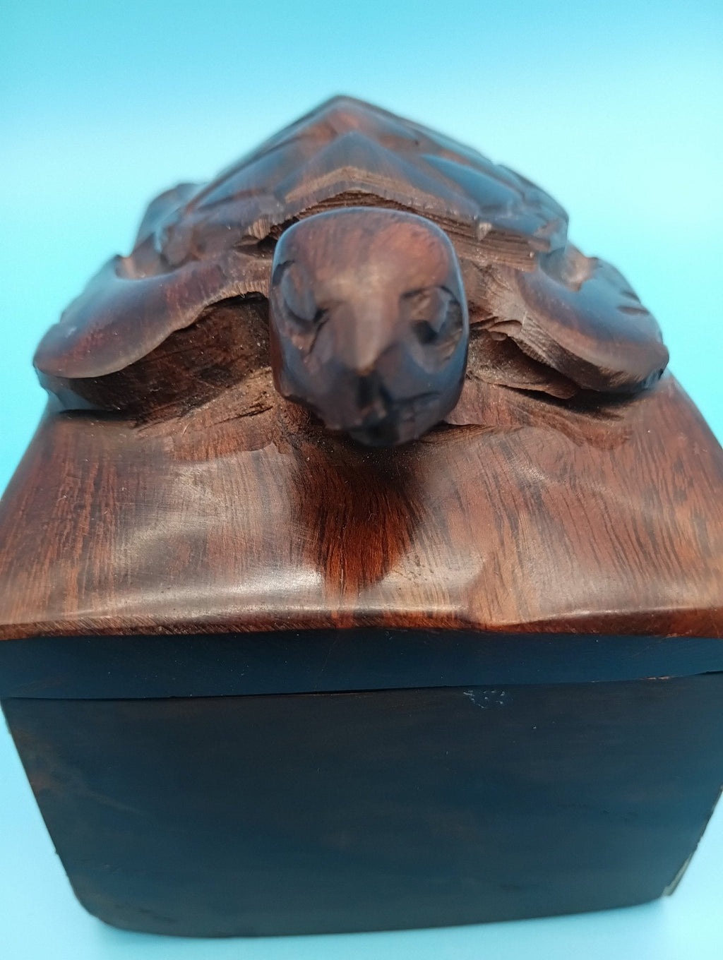 Hand Carved Ironwood Turtle Box – Coastal Decor Storage 5.25" decorative box La Vie Bien Hand Carved Ironwood Turtle Box – Coastal Decor Storage 5.25"
