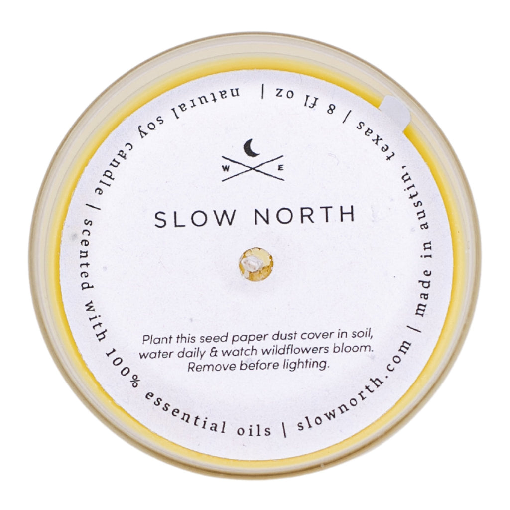Hello Sunshine - Signature Candle (Grapefruit + Geranium + Lime) Frosted Candles La Vie Bien Hello Sunshine - Signature Candle (Grapefruit + Geranium + Lime)