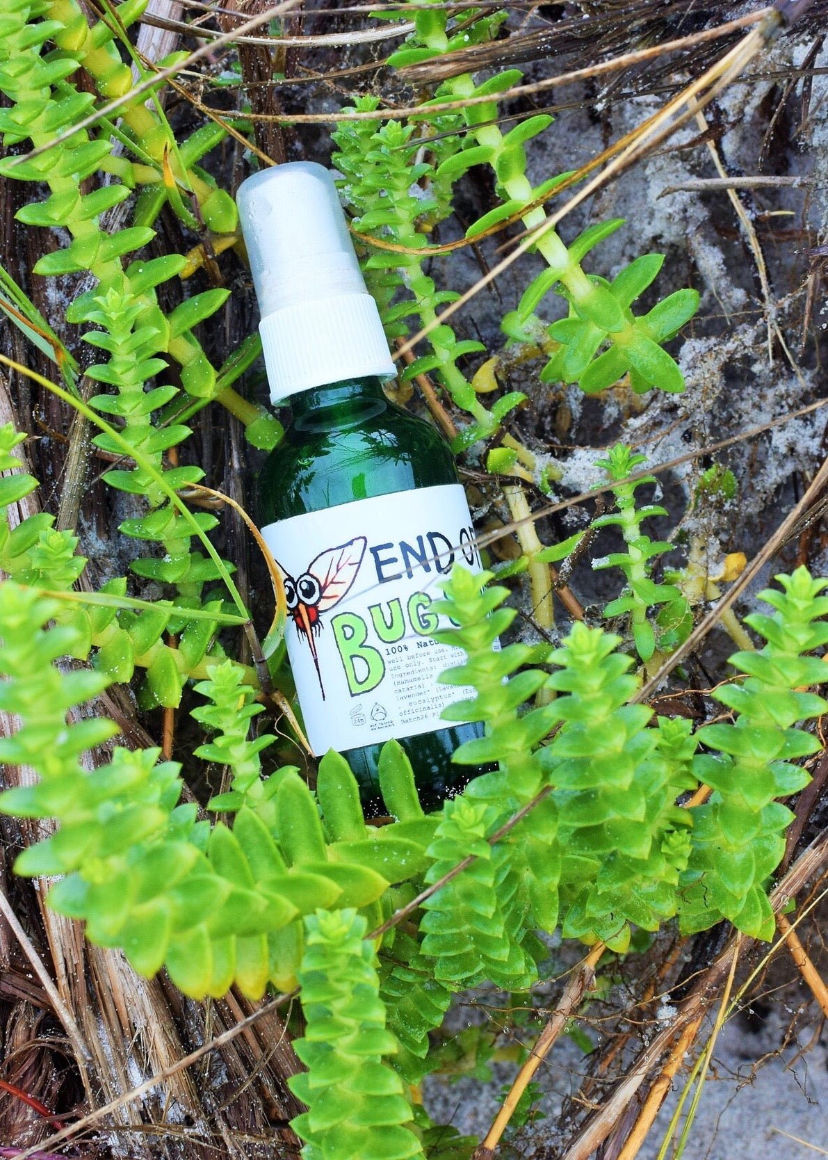 Herbal Bug Spray La Vie Bien Herbal Bug Spray