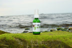 Herbal Bug Spray La Vie Bien Herbal Bug Spray