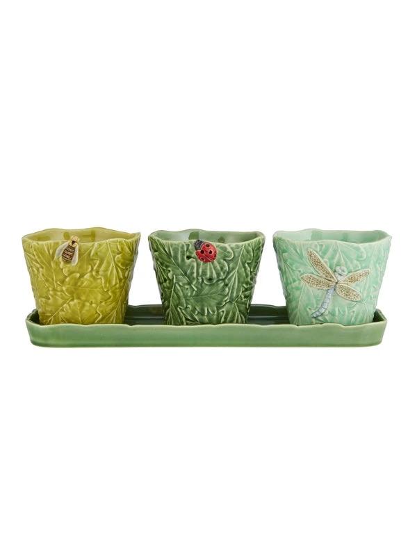 SET OF 3 TERRESTRIAL INSECT Flower/Herb Pots by Fragola