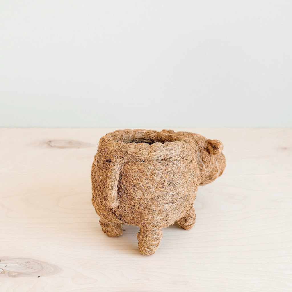 Hippo Planter - Coco Planter | LIKHÂ by LIKHÂ