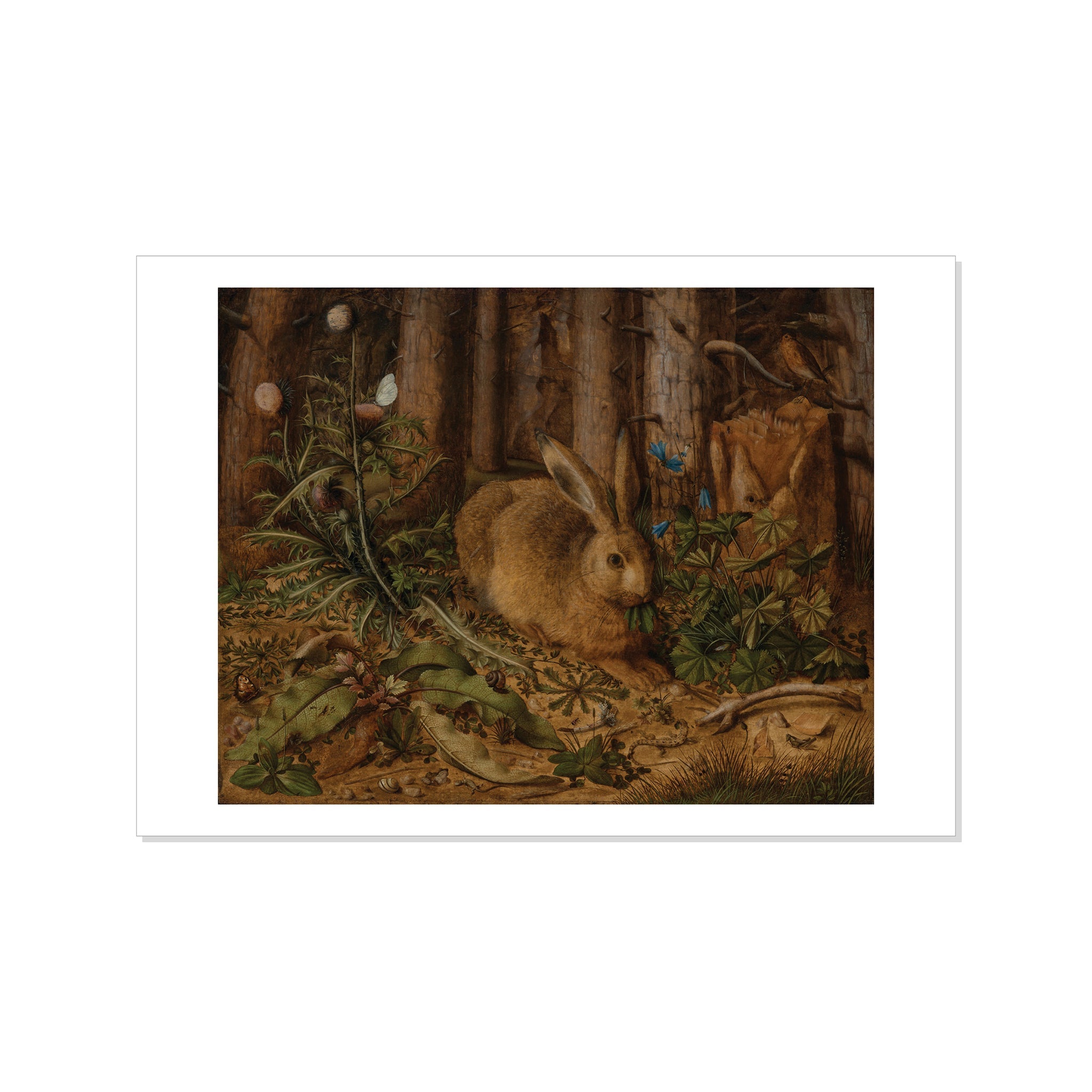 Hoffmann - A Hare in the Forest Postcard STATIONERY La Vie Bien Hoffmann - A Hare in the Forest Postcard