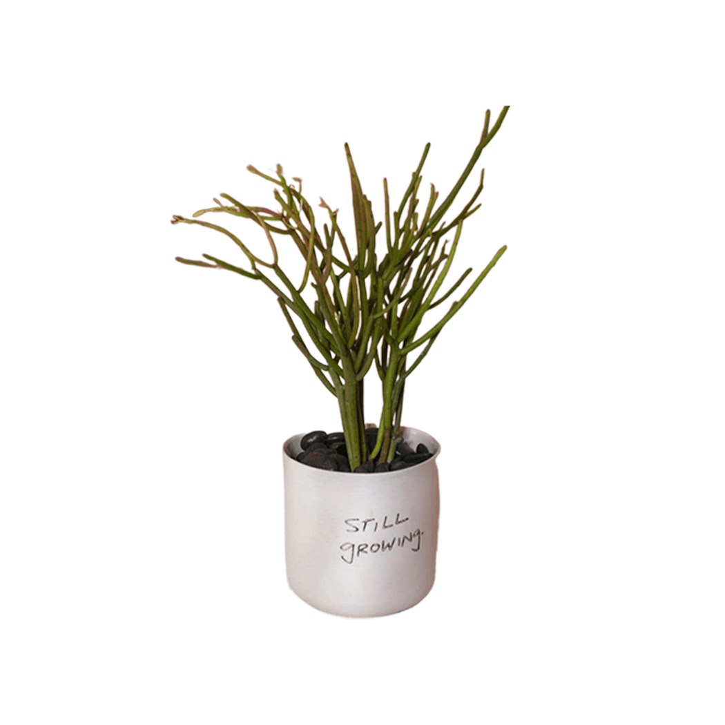 Honesty Pot White by Source by Studio Skara