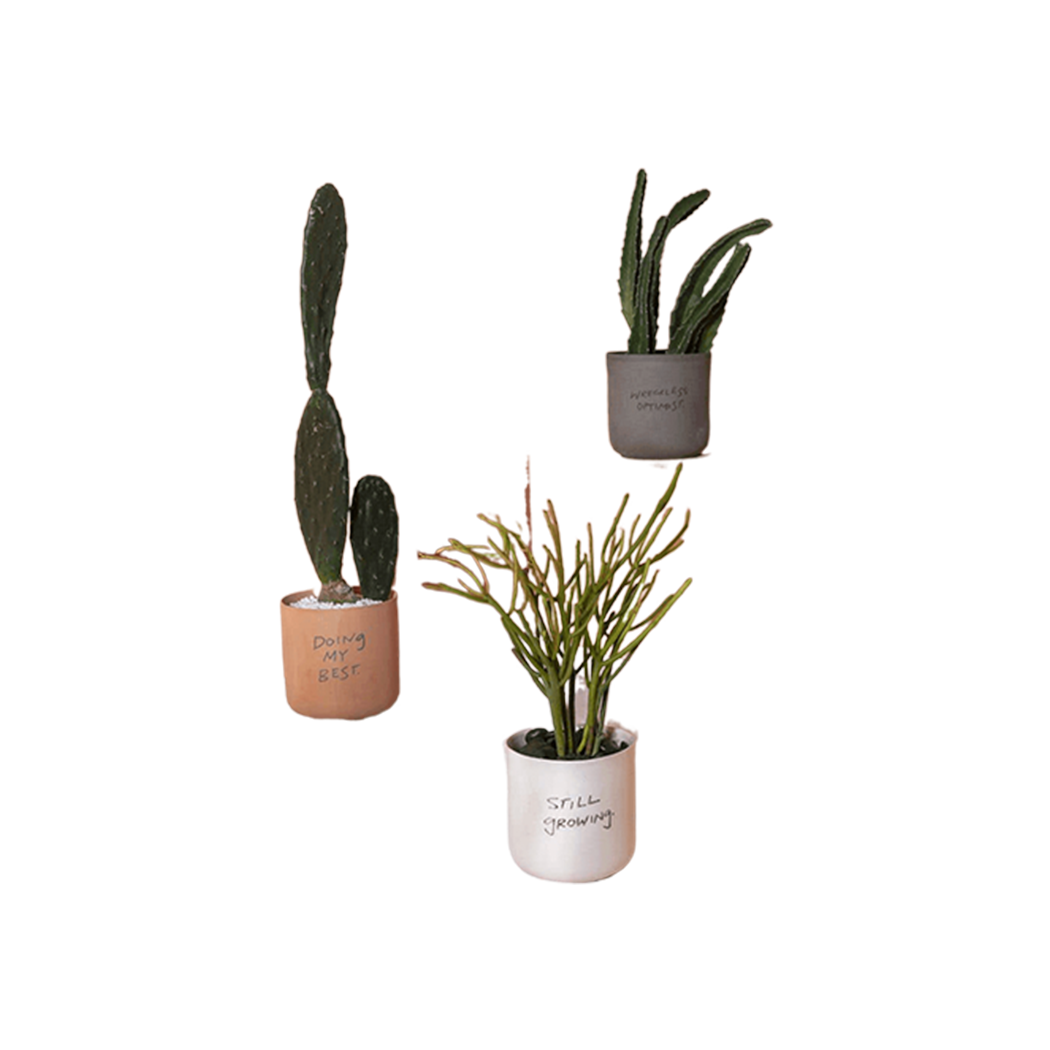 Honesty Pot Grey by Source by Studio Skara