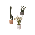 Honesty Pot Grey