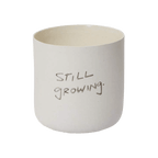 Honesty Pot White