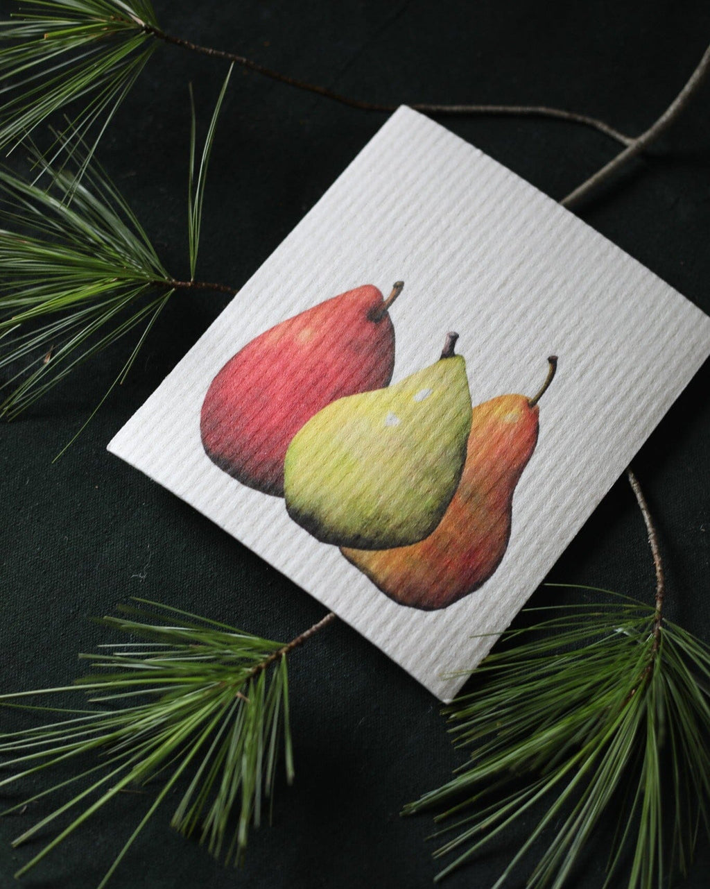 Hostess set of 3 | Pears, Tangerine, and Pinecone (Botanical artist Cara Cummings) Swedish Dishcloths La Vie Bien Hostess set of 3 | Pears, Tangerine, and Pinecone (Botanical artist Cara Cummings)