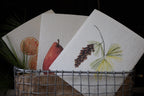 Hostess set of 3 | Pears, Tangerine, and Pinecone (Botanical artist Cara Cummings) Swedish Dishcloths La Vie Bien Hostess set of 3 | Pears, Tangerine, and Pinecone (Botanical artist Cara Cummings)