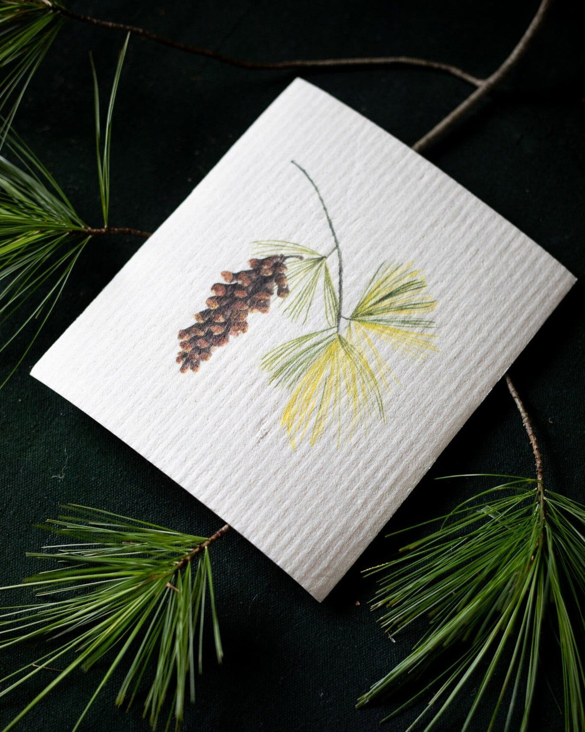 Hostess set of 3 | Pears, Tangerine, and Pinecone (Botanical artist Cara Cummings) Swedish Dishcloths La Vie Bien Hostess set of 3 | Pears, Tangerine, and Pinecone (Botanical artist Cara Cummings)