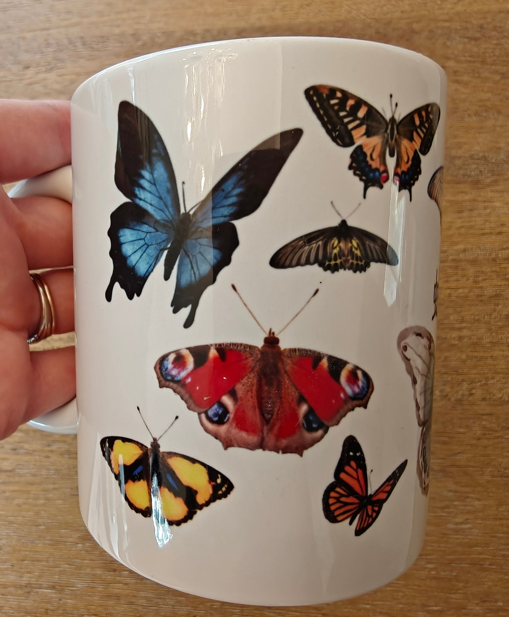 蝴蝶 (Húdié) Chinese butterfly Vintage Style Ceramic Mug, Colorful insect Design, 11oz and 15oz Mug La Vie Bien 蝴蝶 (Húdié) Chinese butterfly Vintage Style Ceramic Mug, Colorful insect Design, 11oz and 15oz