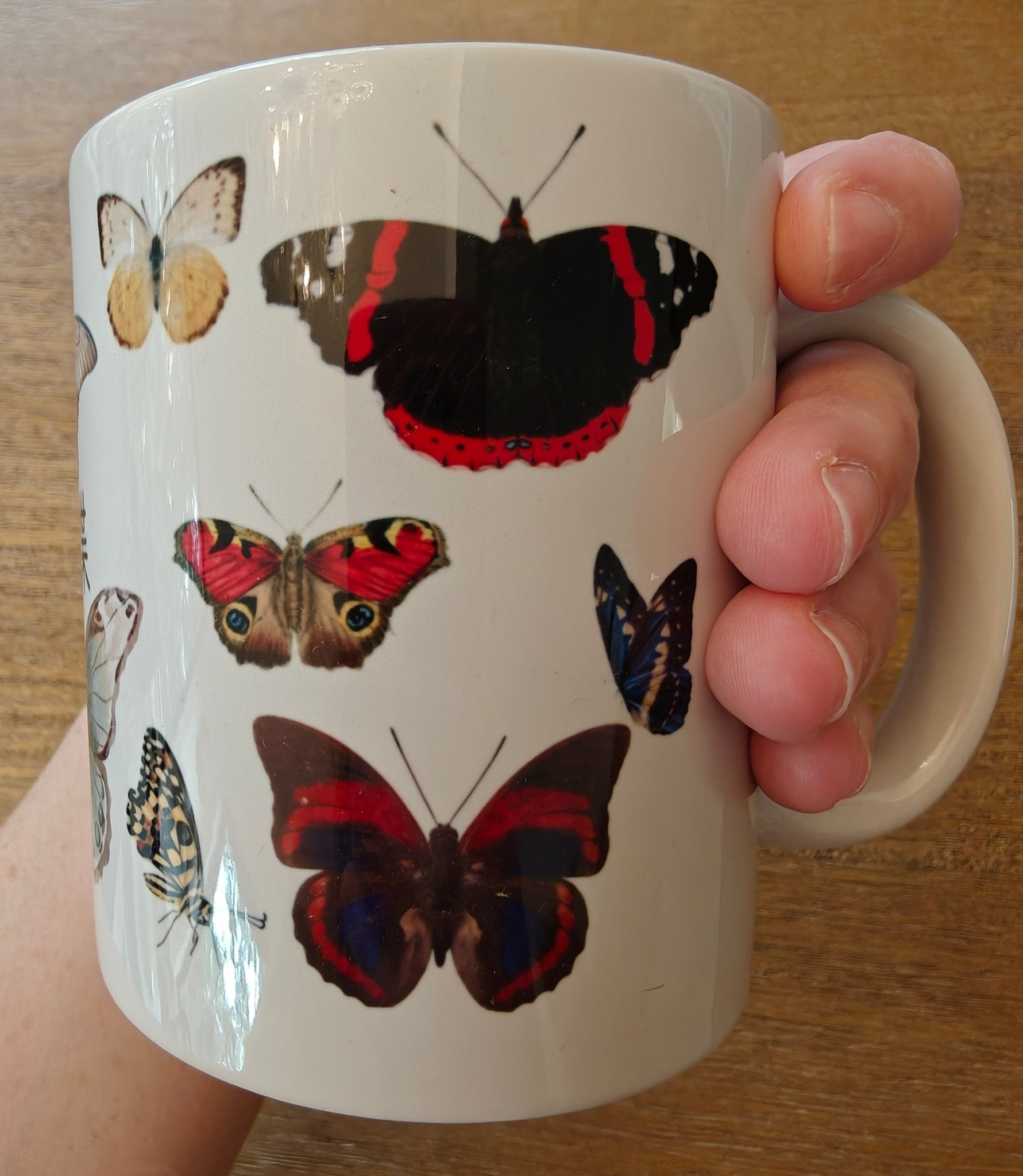 蝴蝶 (Húdié) Chinese butterfly Vintage Style Ceramic Mug, Colorful insect Design, 11oz and 15oz Mug La Vie Bien 蝴蝶 (Húdié) Chinese butterfly Vintage Style Ceramic Mug, Colorful insect Design, 11oz and 15oz