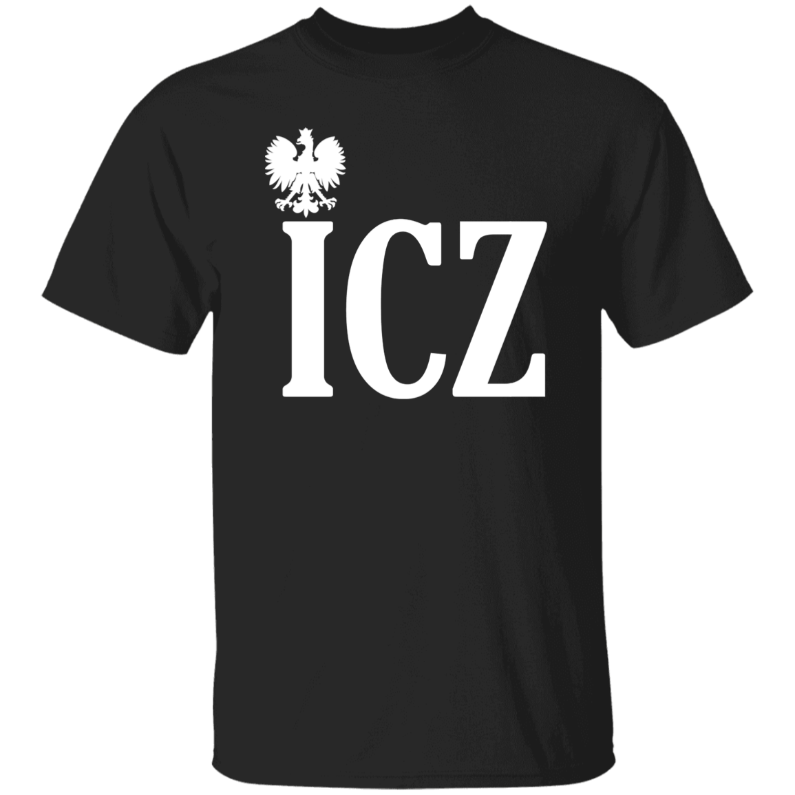 ICZ Polish Surname Ending