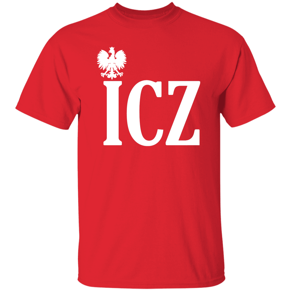 ICZ Polish Surname Ending