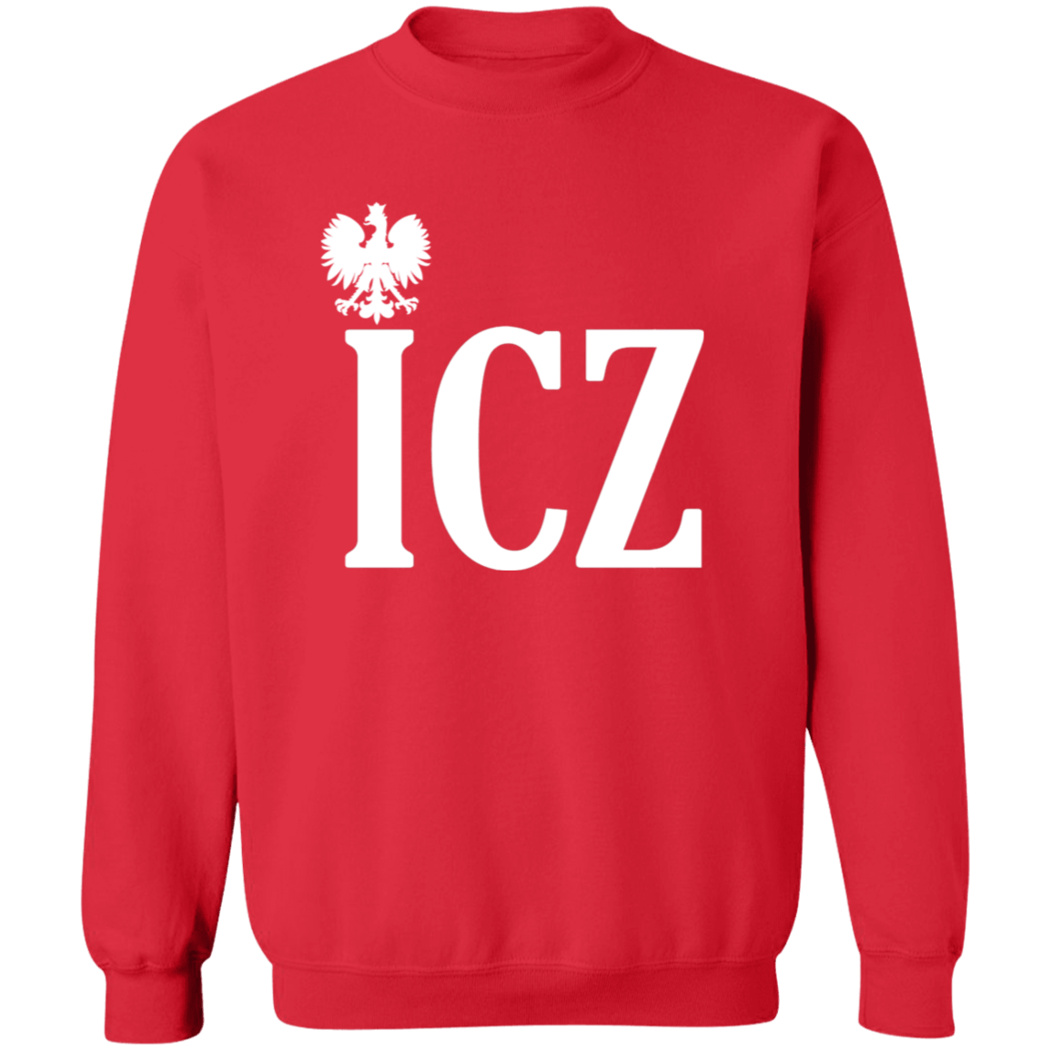 ICZ Polish Surname Ending