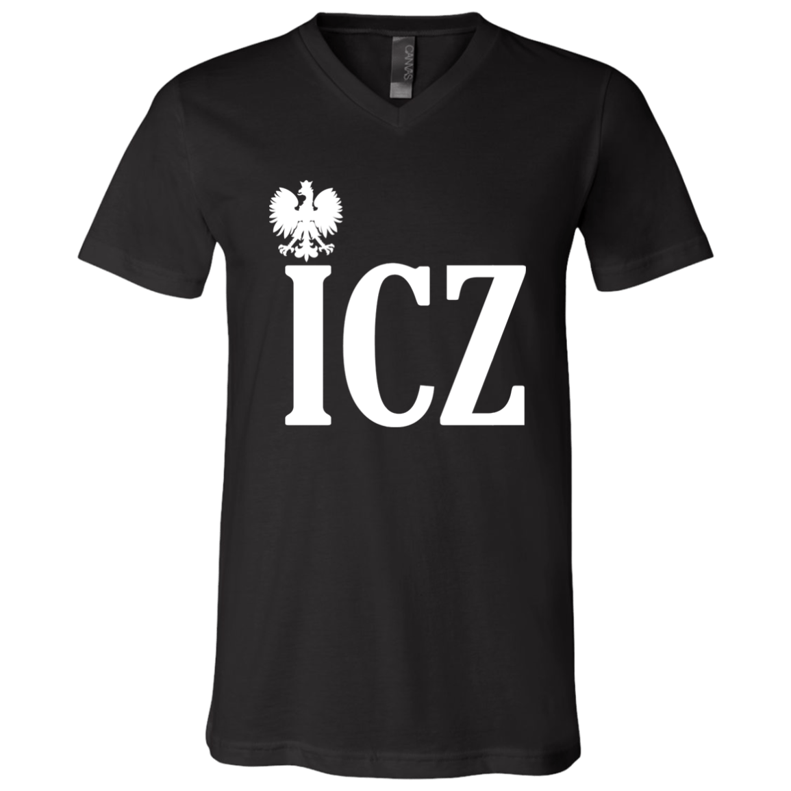 ICZ Polish Surname Ending